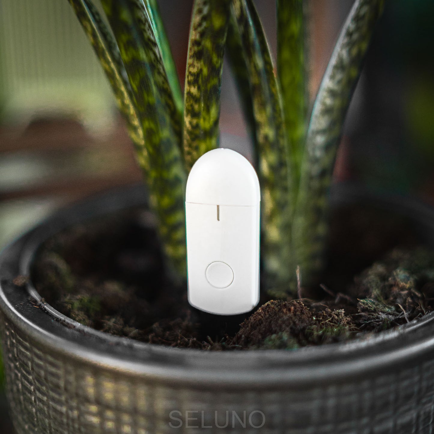 PlantPing Hygrometer