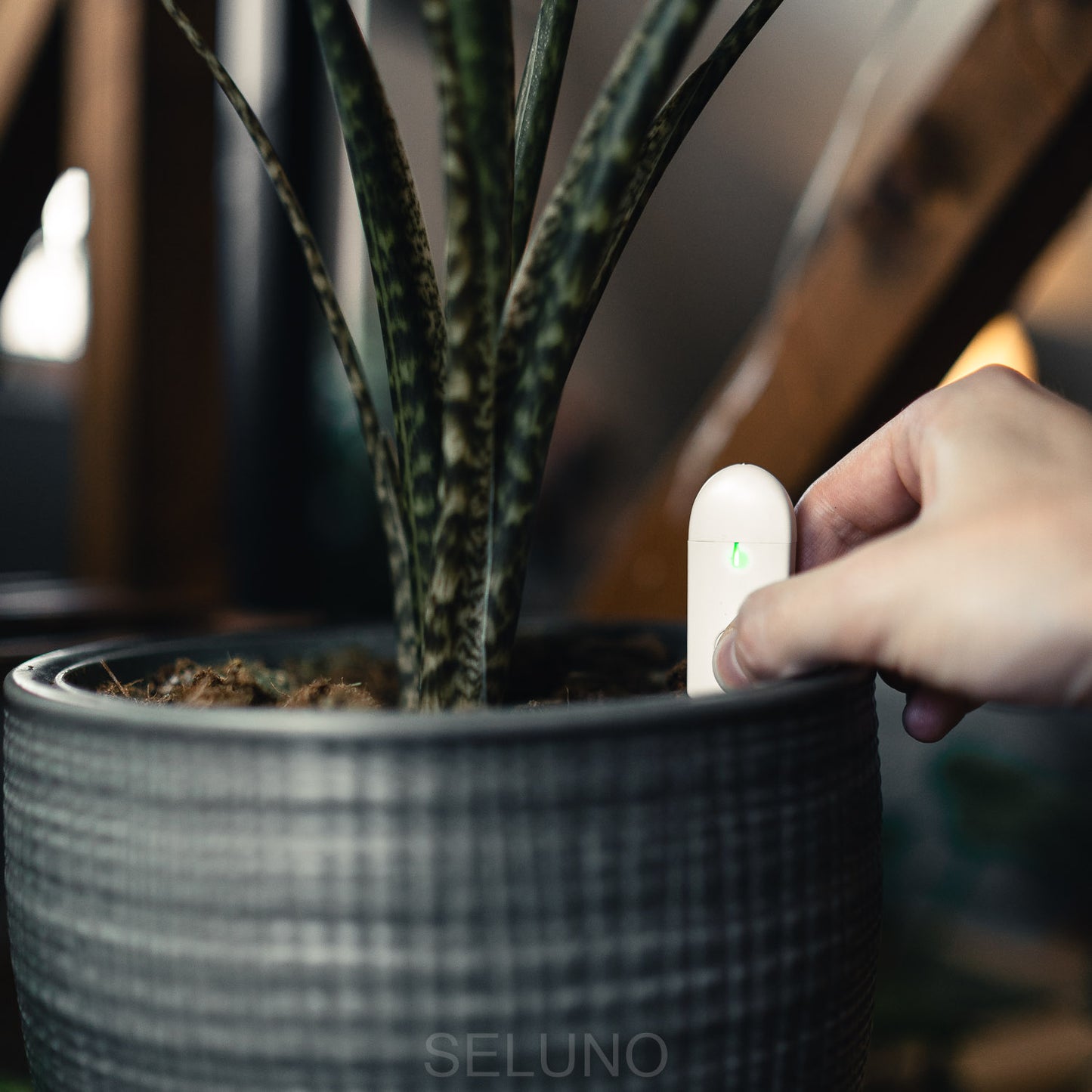 PlantPing Hygrometer